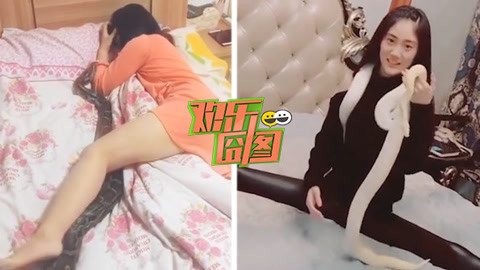 欢乐囧图 奇葩女汉子床上玩弄蟒蛇