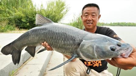 游钓中国 第三季 第30集  船送滑漂放竿太白湖 不在窝点也能频频中鱼