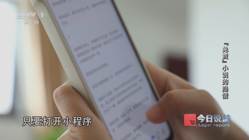 今日说法 《今日说法》 20251031 “免费”小说的隐情