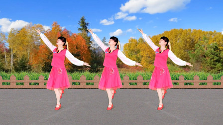 广场舞《山谷里的思念》谢军经典金曲，舒缓大方的舞姿
