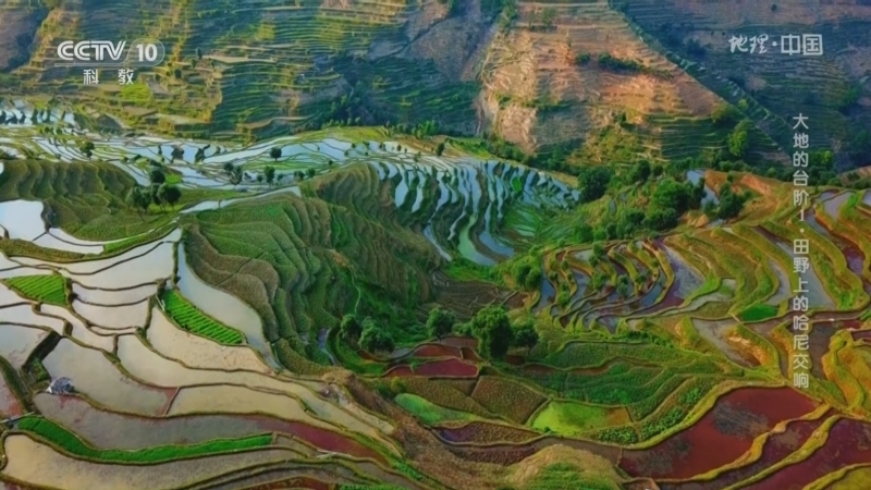 地理中国 《地理·中国》 20230213 大地的台阶1·田野上的哈尼交响