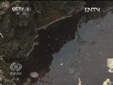 焦点访谈 [焦点访谈]追踪“红水”/买房掉进陷阱里(20130408)