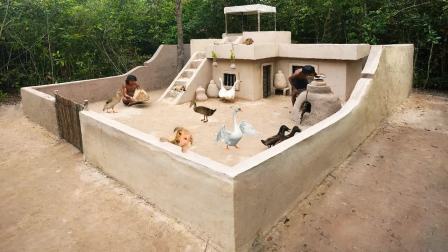 荒野兄弟相依为命，两人日子过得仅仅有条，还养鸡养鹅