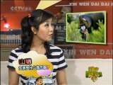 新闻袋袋裤 新闻袋袋裤 2010年 第140期
