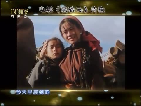 马兰花开 《马兰花开》 20150110 开不败的娜仁花