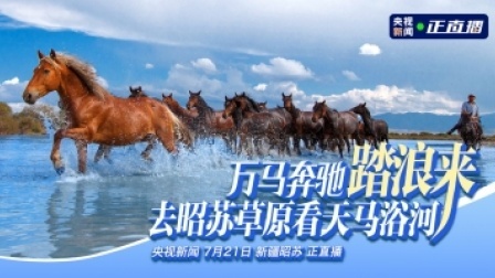 万马奔驰踏浪来！去昭苏草原看天马浴河