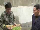 消费主张 《消费主张》 20170418 春茶消费市场调查（一）：西湖龙井