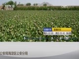 见证 《见证》 20161008 电信诈骗启示录（五）流动的伪基站