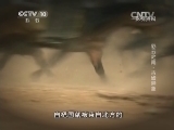 地理中国 《地理中国》 20140105 彩云之南-古墟异象