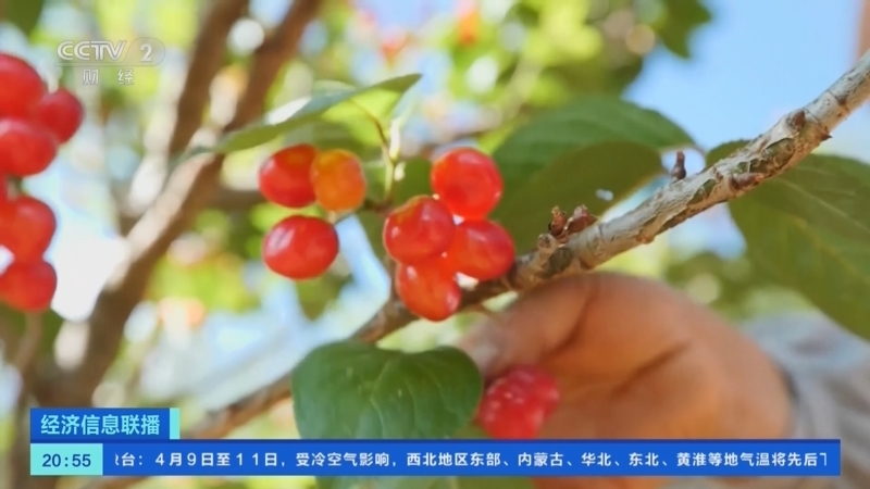 经济信息联播 《经济信息联播》 20230408