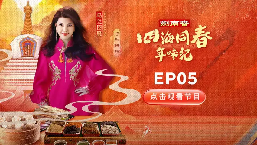 《四海同春年味纪》第5集