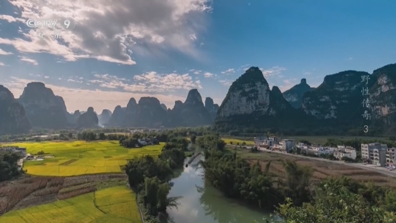 《自然的力量 野性传奇》 第3集 海的边缘