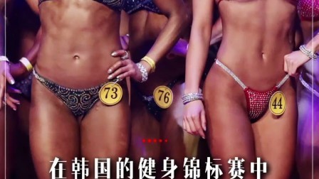 新视界 一大波金刚芭比强势来袭