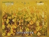地理中国 《地理中国》 20140515 地球家园—飞影迷踪（上）