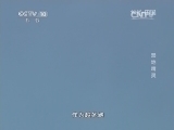 地理中国 《地理中国》 20141219 湿地精灵