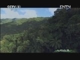 漂流者的天堂
