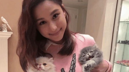嘻嘻娱乐 2017 11月 赌王女儿何超莲晒爱宠 豪宅内部曝光 171122