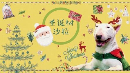宠爱厨房 第一季 牛头梗的圣诞树沙拉