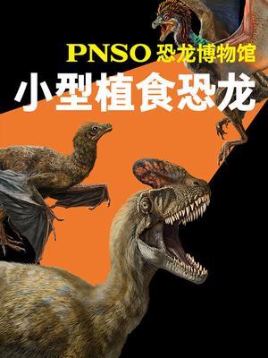 PNSO恐龙博物馆：小型肉食恐龙