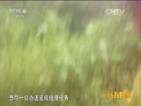 远方的家 《远方的家》五一特别节目 我是记者  20150501