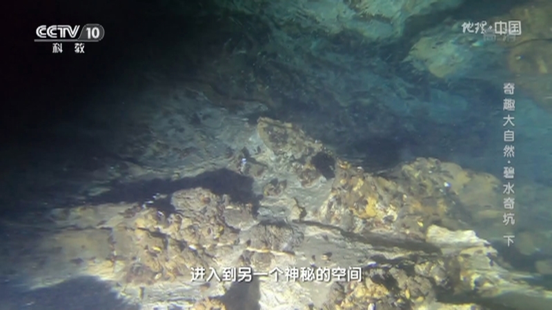 地理中国 《地理·中国》 20201130 奇趣大自然·碧水奇坑 下
