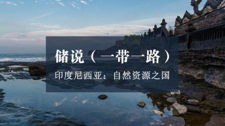储说 印度尼西亚  自然资源之国