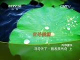 地理中国 《地理中国》寻奇天下·普者黑传奇（上）20150212