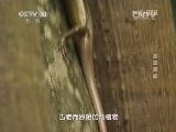 地理中国 《地理中国》孤岛奇闻 20141013