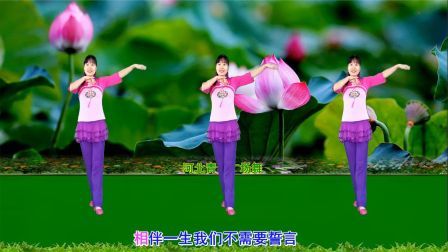 流行DJ广场舞及教学 第三季 心醉甜蜜DJ广场舞《相伴一生》优美32步附分解