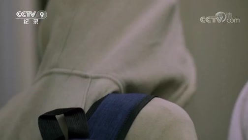 《夏日绿皮车》 第九集 萍水相逢