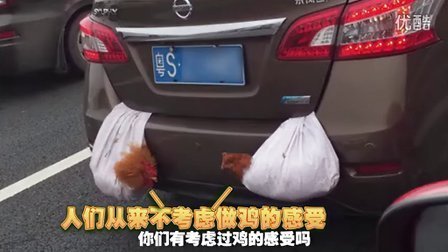马桶说 逗比们是这样过完春节的 08