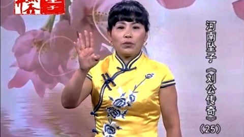 河南坠子 坠子《刘公传奇》胡银花