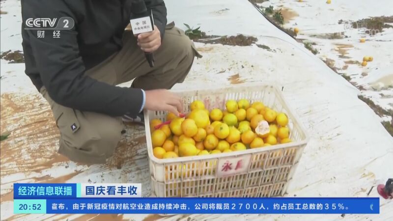 经济信息联播 《经济信息联播》 20201006