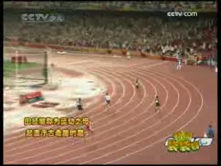 新闻袋袋裤 新闻袋袋裤 2008年 第240期