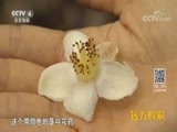 远方的家 《远方的家》 国家公园（9） 宝天曼 多彩宝天曼 20180828