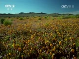 《自然》 20141005 地球脉动 第七集 辽阔草原