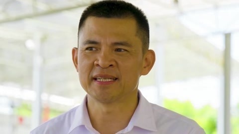 爆浆鲜甜千禧果诱惑十足 圣女果基地解决农民就业难题