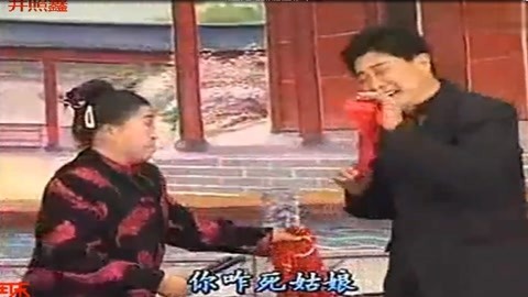 河南坠子 王婵出世 陈明山 戴玉环 第八段 姑娘相思病私奔 井照鑫