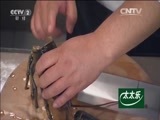 回家，吃饭 《回家吃饭》 20160713 生啫砂锅鱼头煲 芝士焗龙虾蟹配薯仔