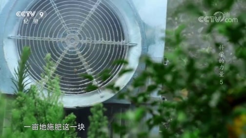 《科学的力量》 第五集 知本时代（上）