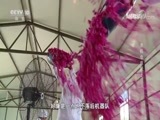 我爱发明 《我爱发明》 20180718 农机也疯狂2