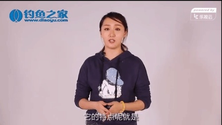 钓鱼很简单 钓线的类型