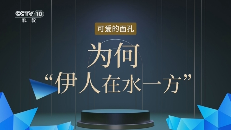 百家说故事 《百家说故事》 20260307