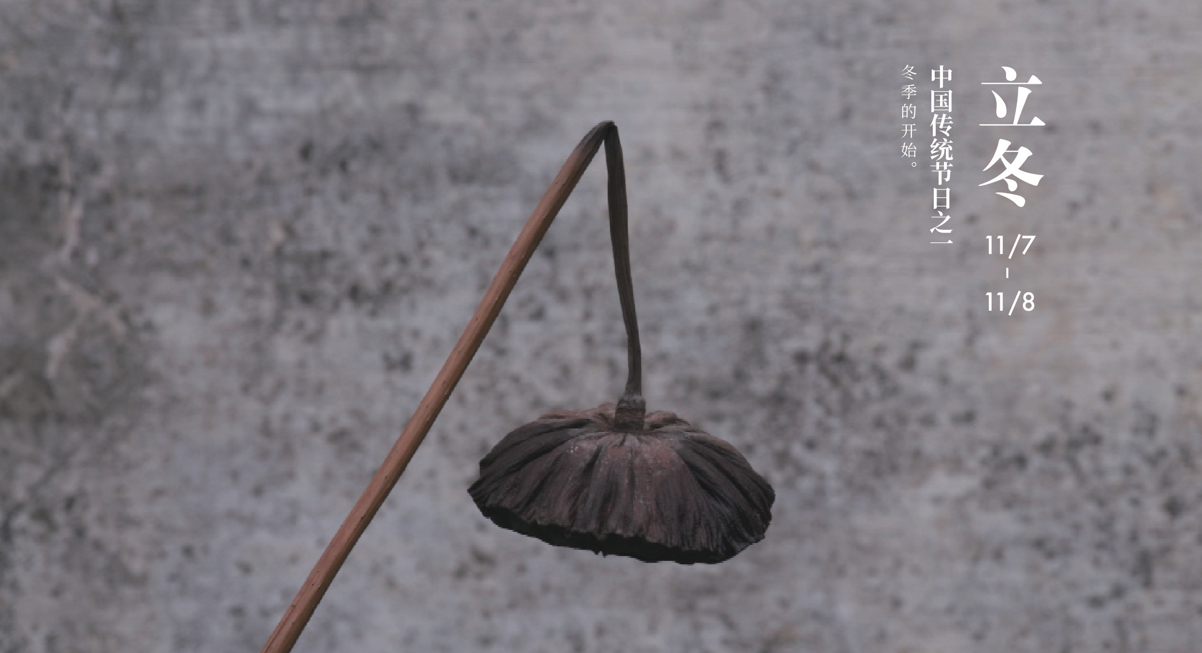 立冬