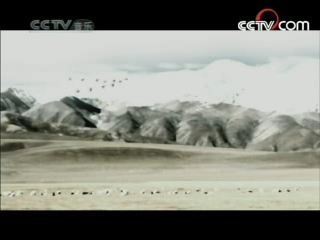 民歌&middot;中国 民歌·中国 2008年 第127期