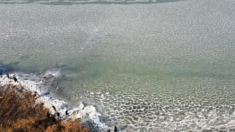 小强热线20210212
