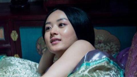 娱乐猛回头 娱乐猛回头之赵丽颖学历造假 娱乐圈爆黑名单