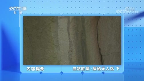 地理中国 《地理·中国》 20200114 自然胜景·探秘无人岛 下