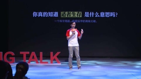 PingTalk 第6季 记忆博物馆 果壳网主笔恩特讲述适者生存