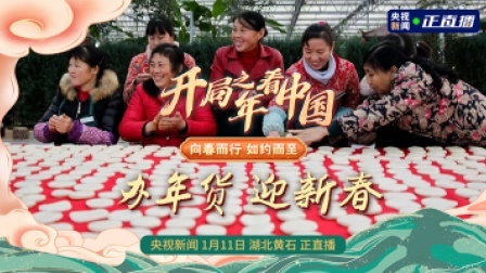 开局之年看中国 办年货 迎新春